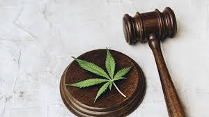 Presidente do STF diz: “Não estamos discutindo legalização, apenas separando usuários de traficantes”.