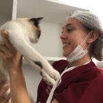 Centro de Controle de Zoonoses de Campina Grande inicia cirurgias de castração de animais de&nbsp;rua