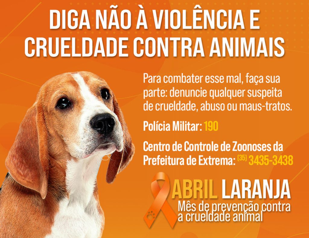 Abril Laranja: Saúde realiza ações voltadas ao combate e prevenção à crueldade animal, em Campina&nbsp;Grande