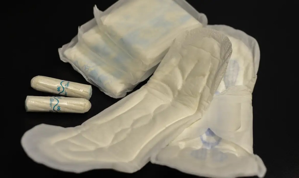 Menstruação segura ainda é desafio no Brasil, indica&nbsp;Unicef