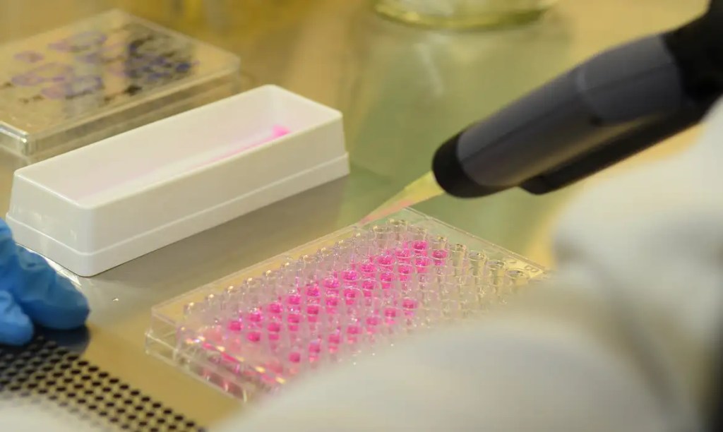 Vírus zika pode voltar a se replicar após recuperação, aponta&nbsp;estudo