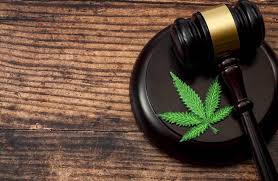 Após voto de Toffoli, STF continua sem decisão sobre porte de&nbsp;maconha