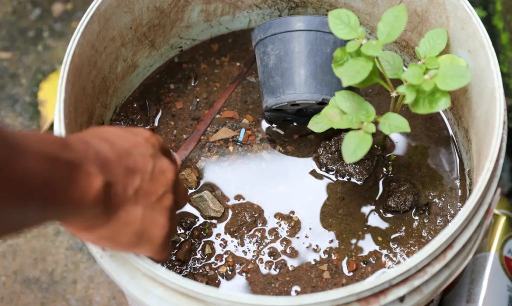 Dengue: Saúde encerra atividades do Centro de Operações em&nbsp;Emergência