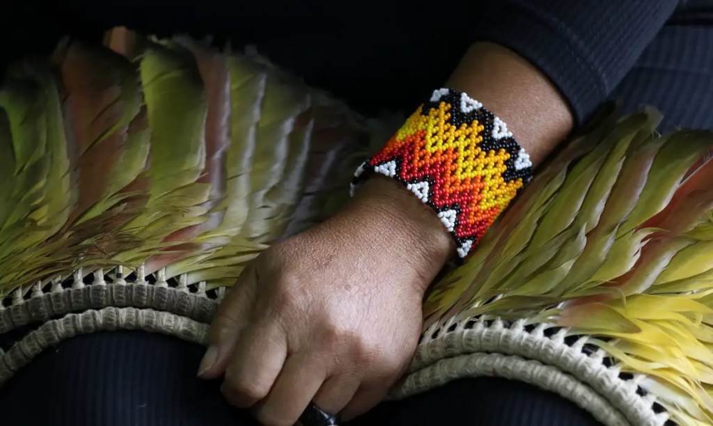 Ao menos 208 indígenas foram assassinados no Brasil em&nbsp;2023