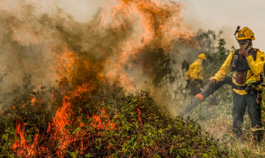 Fogo já consumiu 1,3 milhão de hectares e volta a aumentar no&nbsp;Pantanal