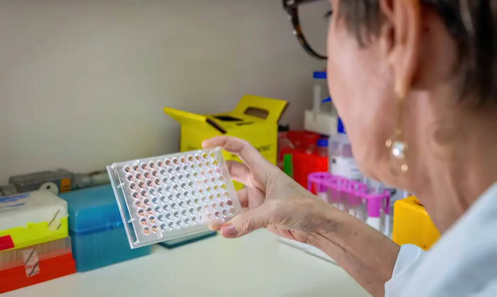 Pesquisadoras podem se inscrever no programa Mulheres na&nbsp;Ciência