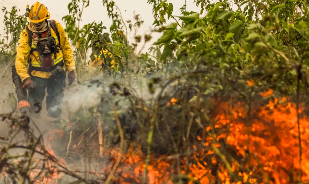 Brasil já registrou mais de 154 mil focos de calor este&nbsp;ano