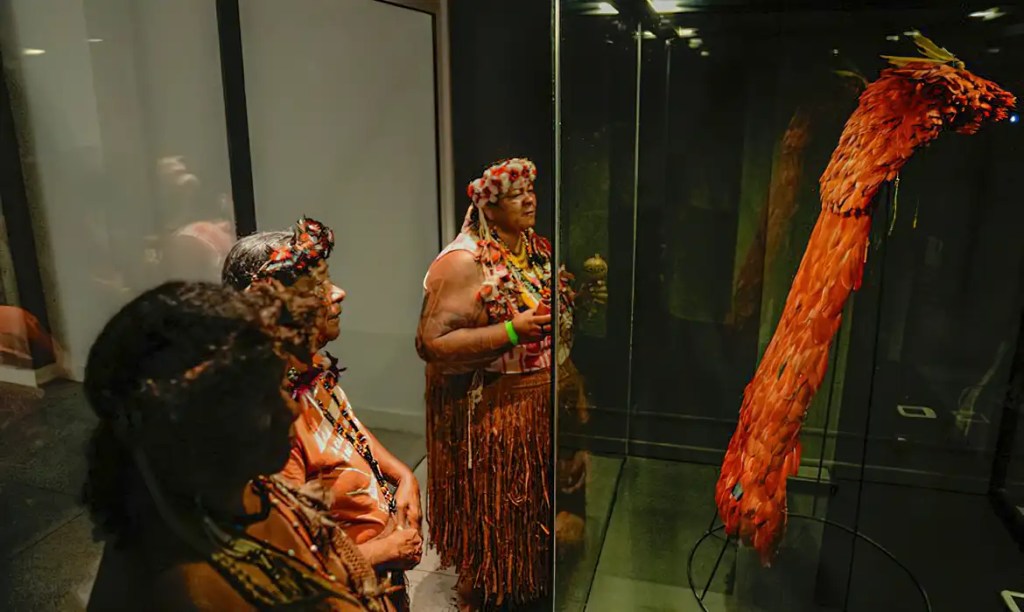 Manto reforçou existência e identidade tupinambá, diz&nbsp;cacica